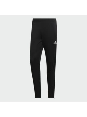 adidas Trainingshose für Herren in unifarben in uni