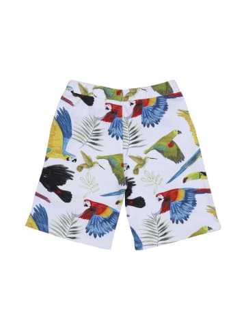Walkiddy Shorts Shorts aus Baumwolle (Bio)