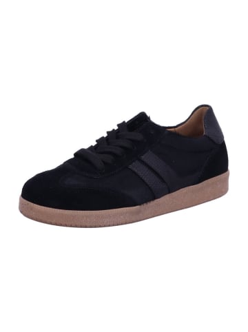 Gabor Sneaker Low in black