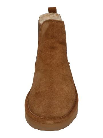 natural world Chelsea Boots DUNE 7310 in braun