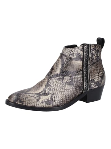 Replay Stiefelette in Grau/Schwarz