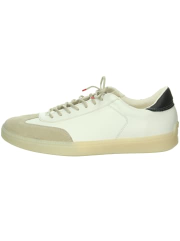 Think! Schnürschuh in creme
