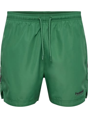 Hummel Badeshorts Hmlned Swim Shorts in FOLIAGE GREEN