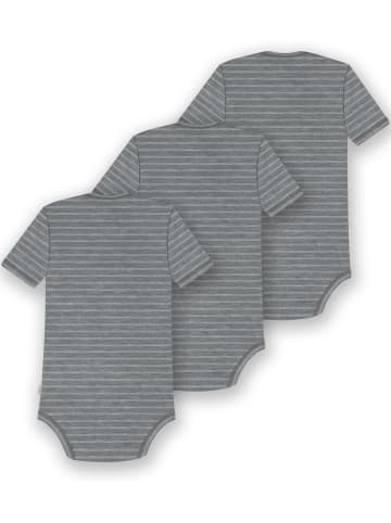Normani Outdoor Sports 3er Set Baby Merino Body Kurzarm Tauranga in Grau gestreift
