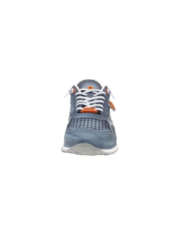 Cetti Sneaker low C-848 EXP in Blau