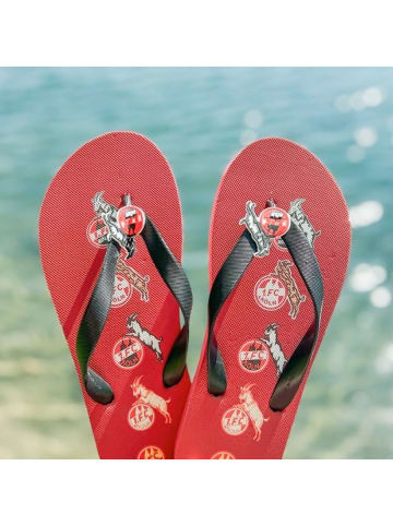 Fußballverein 1. FC Köln Badeschuh "Flip Flops Logos" in Rot