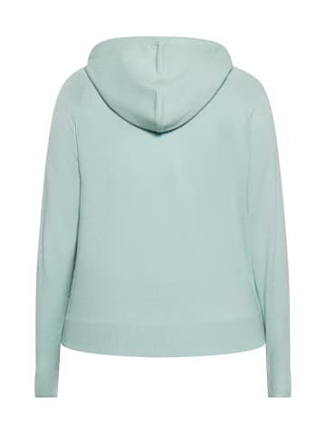 usha BLUE LABEL Women Hoodie in Mint