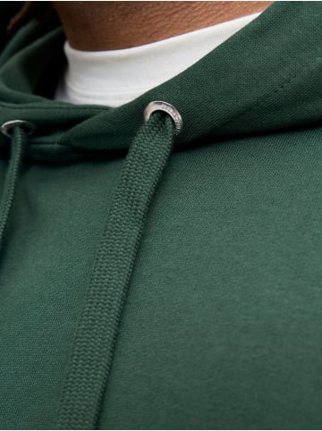 JACK & JONES PLUS Kapuzenpullover in Sycamore