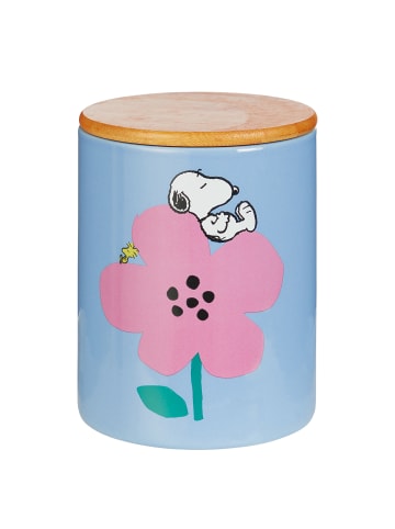 Butlers Aufbewahrungsdose PEANUTS in Blau