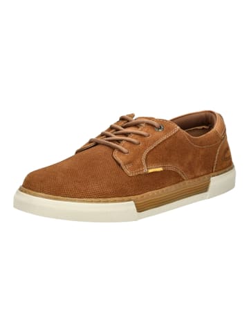 Camel Active Halbschuhe in Cognac