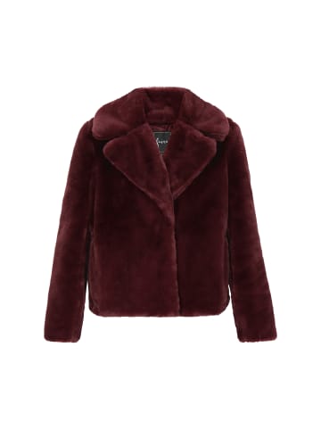 faina Women Jacket in burgundy