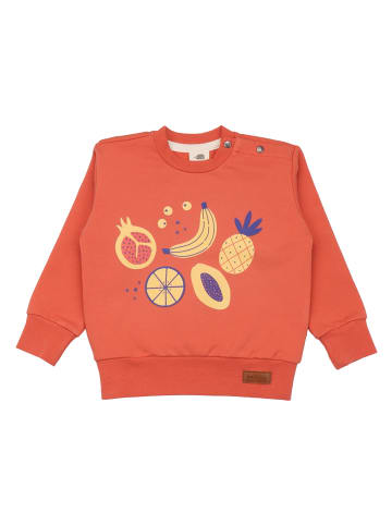 Walkiddy Sweatshirt Cheerful Fruits - Sweatshirt