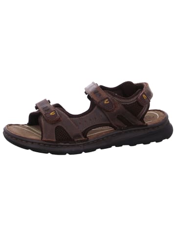 Camel Active Sandale  in Braun