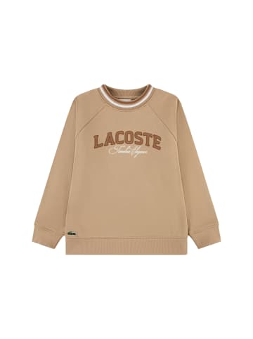 Lacoste Sweatshirt in hellbraun