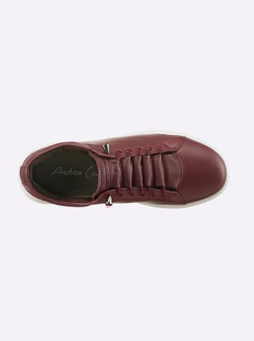 Andrea Conti Sneaker in burgund