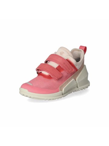 Ecco Low Sneaker BIOM in Rosa