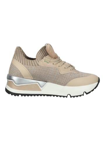 Bullboxer Sneaker in Beige/Silber