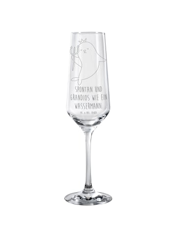 Mr. & Mrs. Panda Champagnerglas Sternzeichen Wassermann mit Spruch in Transparent