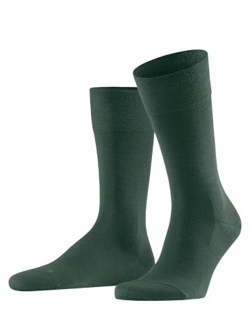 Falke Socken Sensitive Berlin in Hunter gre