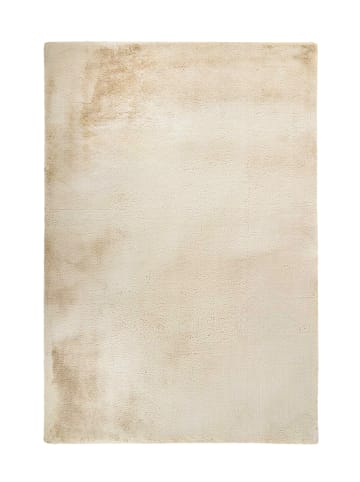 Hochflor Teppich Birgit 225 in Creme