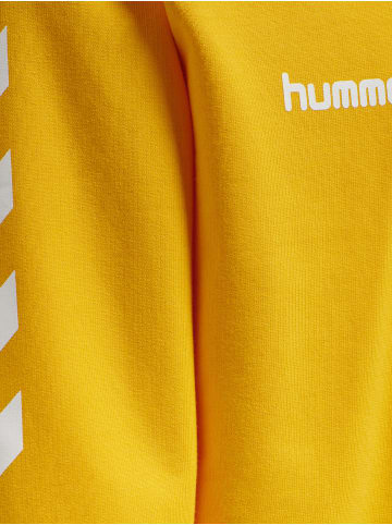 Hummel Hummel Cotton Kapuzenpullover Hmlgo Multisport Kinder in SPORTS YELLOW