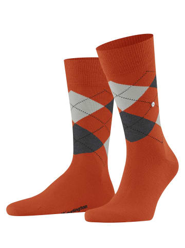 Burlington Socken Edinburgh in Ziegel