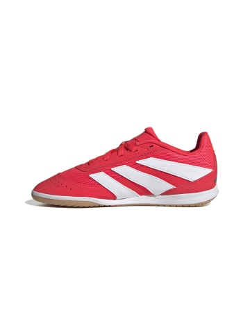 adidas Indoorschuh PREDATOR CLUB IN SALA in lucred/ftwwht/cblack