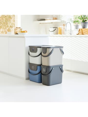Rotho Albula Mülltrennungssystem 25l für die Küche in Anthrazit