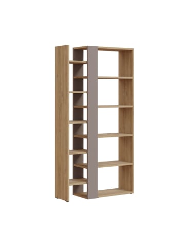 CALICOSY Bücherregal AXEL in Eiche - (W) 80 x (H) 152 x (L) 29.5 cm