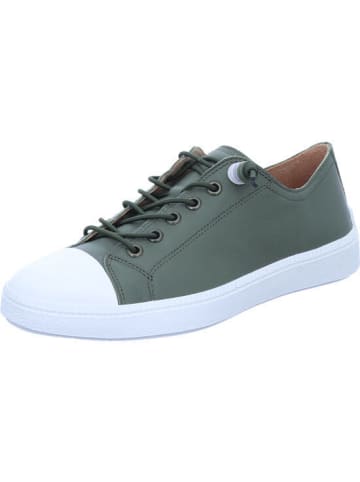 Think! Sneaker Low in oliv
