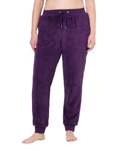 Ulla Popken Loungewear Hose in aubergine