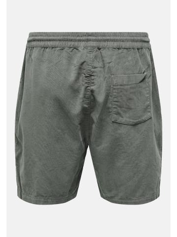 Only&Sons Shorts 'Alfi' in grau