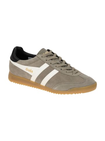 Gola Sneaker Low in Grau