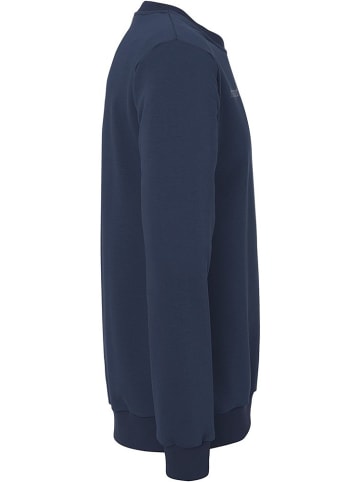 uhlsport  Pullover "Sweatshirt" in Blau