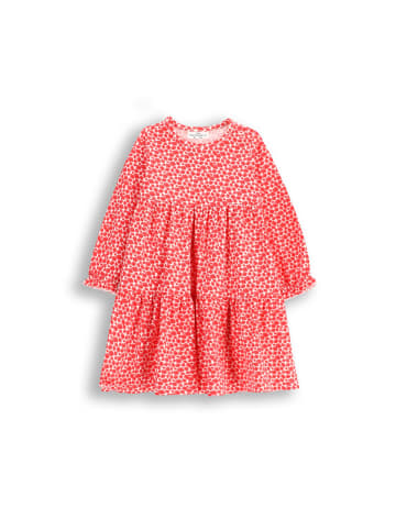 Coccodrillo Kleid in bunt