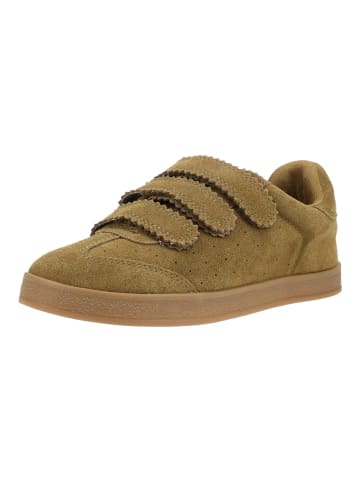 Steve Madden Sneaker DAYBREAK in Khaki