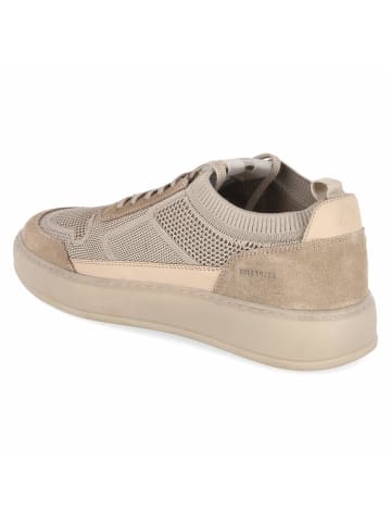 Bullboxer Sneaker in beige