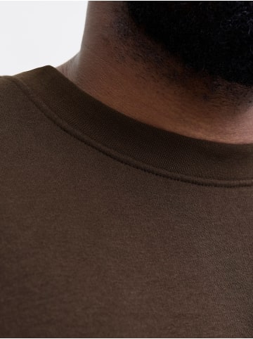 JACK & JONES PLUS Sweatshirt in Delicioso