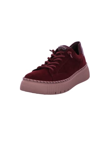 Gabor Sneaker Low in bordeaux