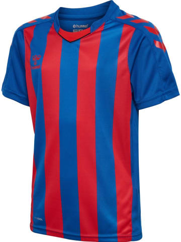 Hummel Kinder Trikot in Blau
