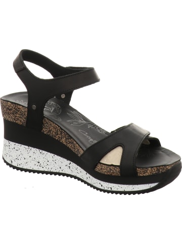 PANAMA JACK Sandalette in schwarz
