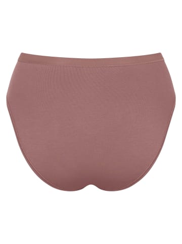 Sloggi Slip 6er Pack in Braun