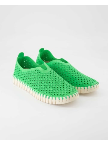 Ilse Jacobsen Slipper in Grün
