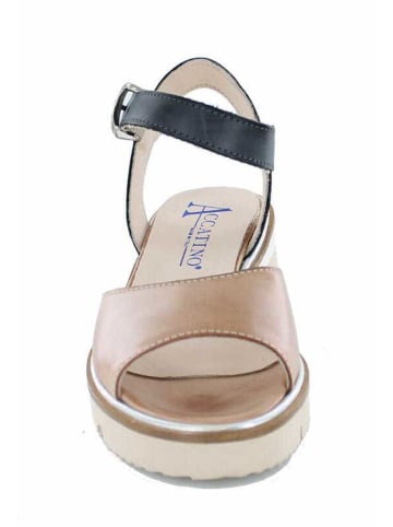 Accatino Sandalen in braun