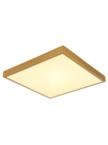 Globo lighting Deckenleuchte "TIBEY" in gold