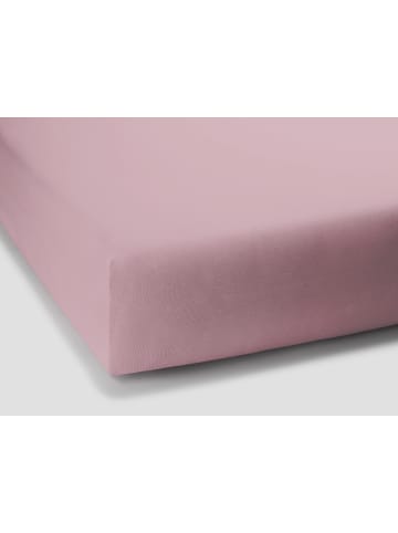 Formesse Spannbettlaken Bella Donna Jersey in Altrosé