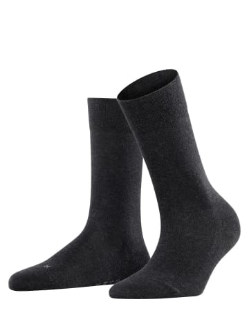 Falke Socken 1er Pack in Anthrazit