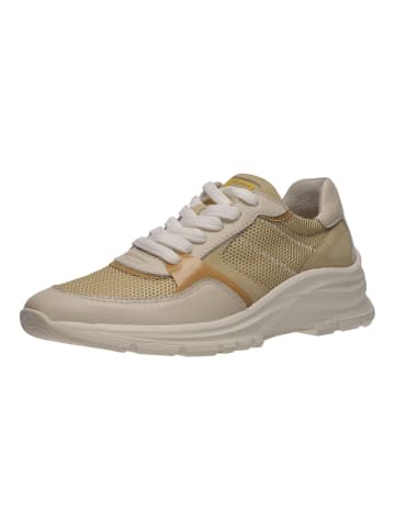 SALAMANDER Sneaker in Beige