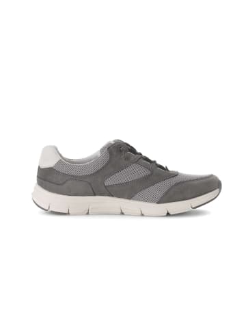 Gabor Sneaker low in grau