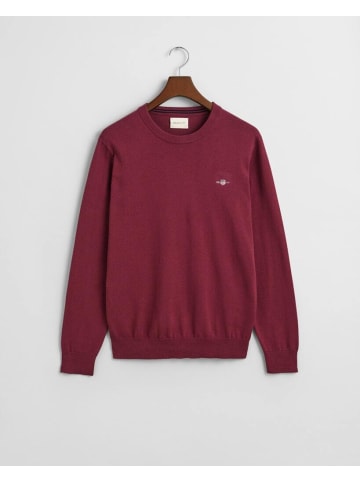 Gant Pullover in wine red